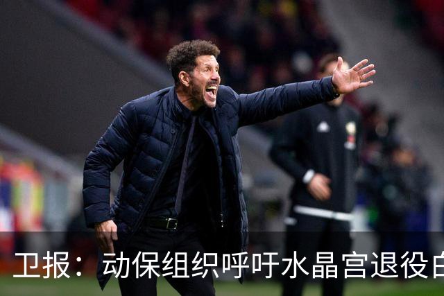 卫报：动保组织呼吁水晶宫退役白头海雕，别再用活体动物当吉祥物